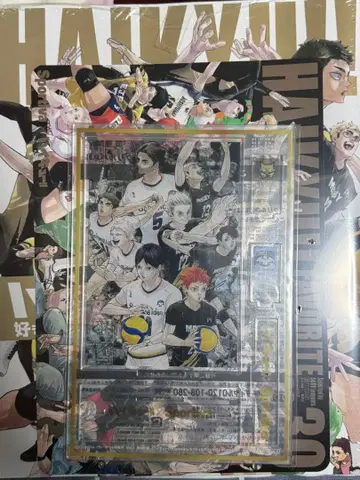 하이큐 Sportiva 배구 특집호 애니메이트 특전