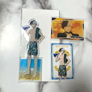 윈드브레이커 마네키네코 사쿠라 하루카 아크릴 스탠드 카드