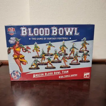 Blood Bowl Amazon Blood Bowl Team