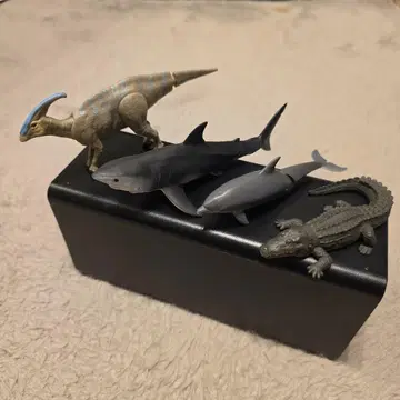 아니아 4체 세트