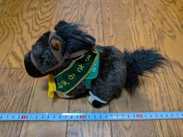 로얄 터치 36회 기사라기상 ATANTI 레이 부 경마 로얄 패밀리