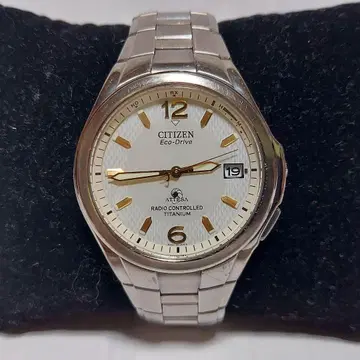 CITIZEN 아테사 Eco-Drive 전파 솔라 손목시계(티타늄)