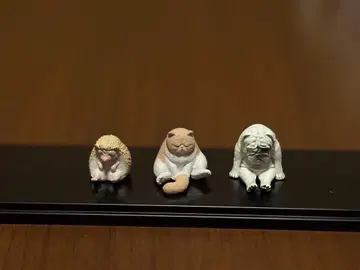 동물 피규어 세트 ( 고슴도치, 고양이, 개, 오랑우탄, 코끼리 )