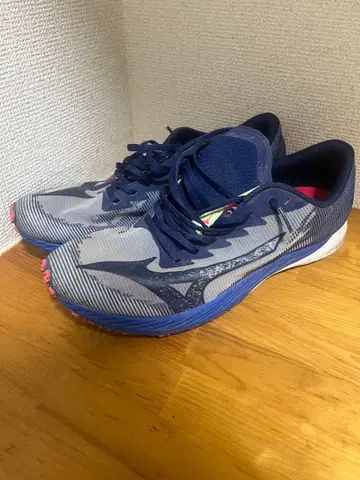 미즈노 웨이브듀얼 3 27.5cm