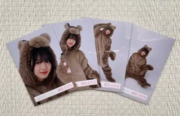 사쿠라자카46 모리타 히카루 동물 인형옷