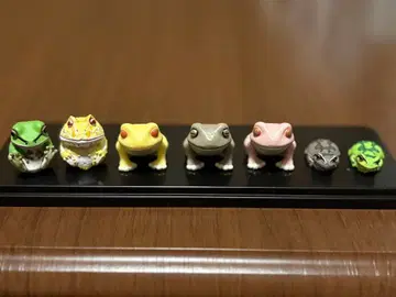 개구리 피규어 7개 세트