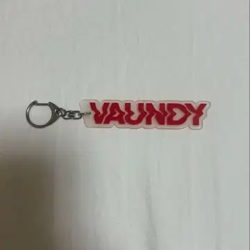 VAUNDY 아크릴 키링 굿즈 Vaundy