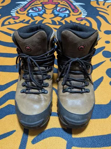 머렐 마터탈 약 25.5cm