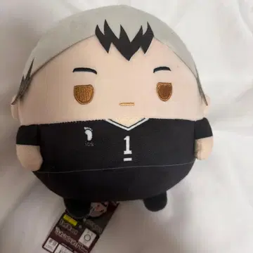 하이큐 후와코로링 BIG 유니폼 키타 신스케