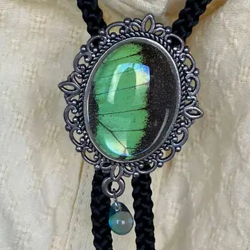 오비 공작 나비 루프 타이