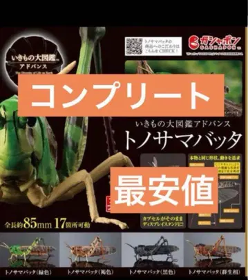 [ 최저가 ] 생물대도감 어드밴스 참개구리 4종 풀컴프 세트