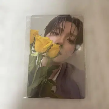 보이플 아카이브전 산원 트레이딩 카드 week2