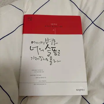 한국 [ 도깨비 ] 소설 어쩌면 별이 당신의 슬픔을 가져갈지도 몰라