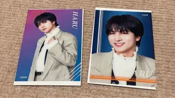 [ 초특급 ] 마루이 클리어 카드 하루