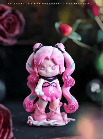 TNT SPACE & HONOR OF KINGS 왕자영요 DORA