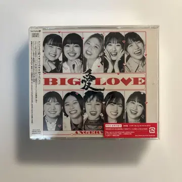 BIG LOVE 초회B DVD 포함 안쥬르므 미개봉 새상품