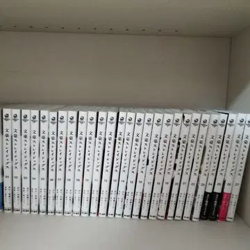 문호 스트레이독스 전 27권, 그 외 관련 코믹 7권, 소설 2권