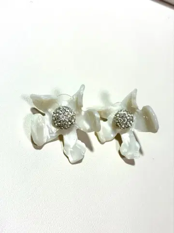 레레 사도기 귀걸이