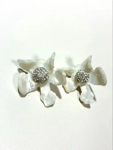 레레 사도기 귀걸이