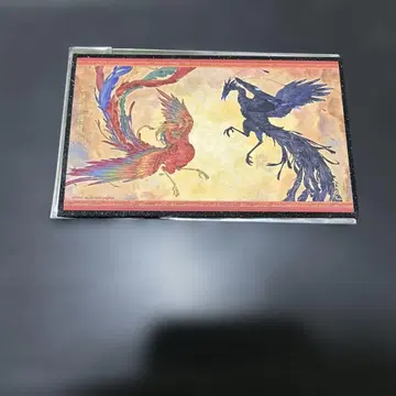 유수언 유수언 색지