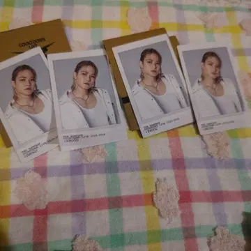 이와야 쇼고 스티커 카드 란페 스티커 카드 시크레