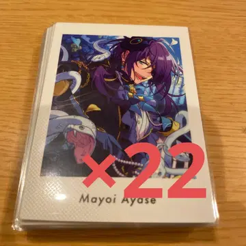 앙스타 파샤츠 아야세 마요이