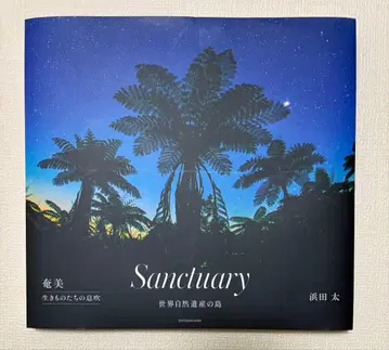 Sanctuary : 아마미 생명들의 숨결