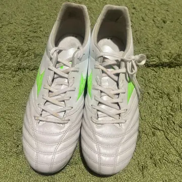 모나르시다 네오 3 프로 와이드