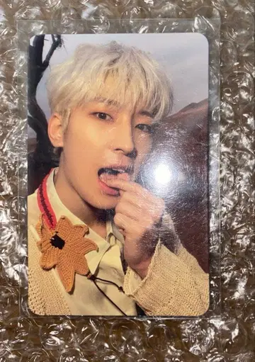 세븐틴 페이스 더 선 ep3 레이 트레이딩 카드 원우