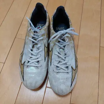 미즈노 알파 스파이크 축구화 25.0cm