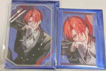 오토메이트 마켓 오토마 미스트니아 애스콧