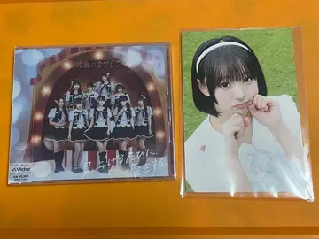 스즈미 스이 엽서