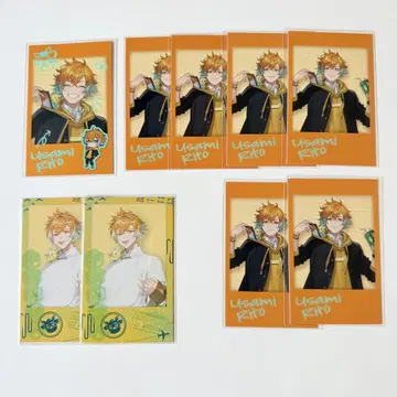 니지산지 우사미 리토 폴라로이드풍 카드 방과 후 오리엔스