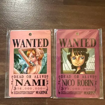 원피스 현상수배서 2개 세트 메탈 플레이트 키링