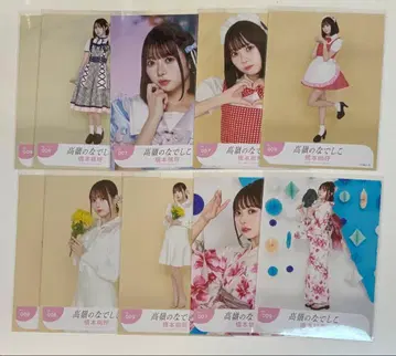 타카네노 나데시코 하시모토 모모코 브로마이드 모음