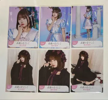 타카미네노 나데시코 하시모토 모모코 브로마이드 컴프 3종