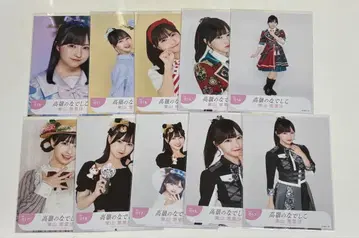 타카네노 나데시코 히가시야마 에리사 브로마이드 모음