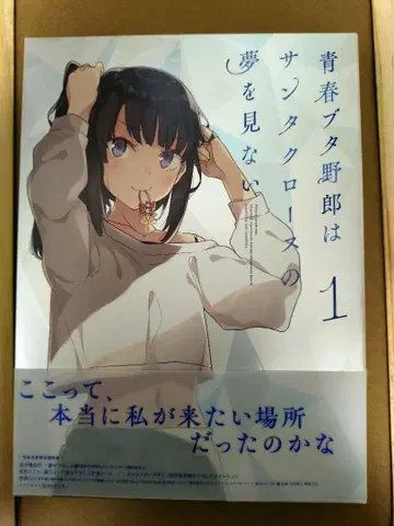 청춘 돼지 녀석은 산타클로스의 꿈을 꾸지 않아 1 (완전 생산 한정판)