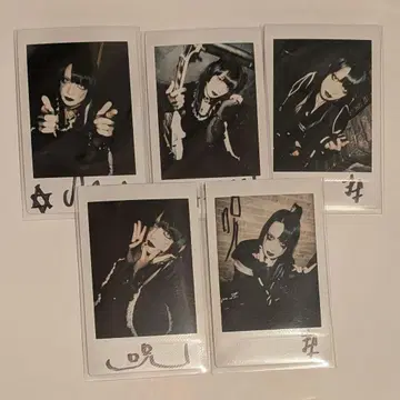 DazzlingBAD 마사 MASA 폴라로이드 5장 세트