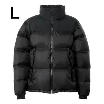 THE NORTH FACE 블랙 다운 자켓 L