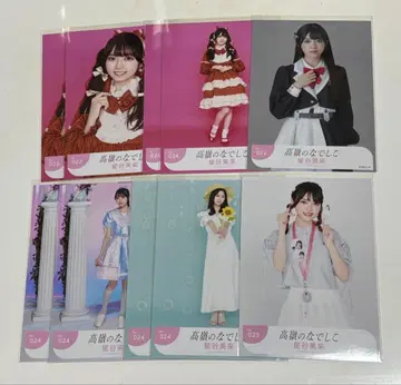 타카네노 나데시코 호시야 미라이 브로마이드 모음