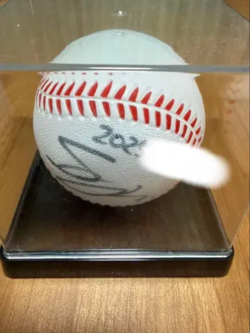 사쿠라이 유이 사인볼