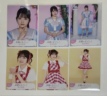 타카네노 나데시코 호시타니 미라이 생사진 컴프 5종