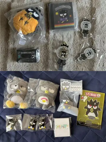 배드마츠마루 세트 묶음 판매