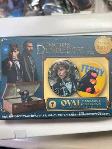 판타스틱 비스트 캔 배지 크리덴스 덤블도어