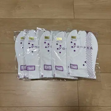 여름 타비 24cm 5켤레 세트