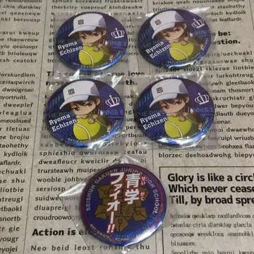 에치젠 료마 청학 홀로그램 캔뱃지 5세트