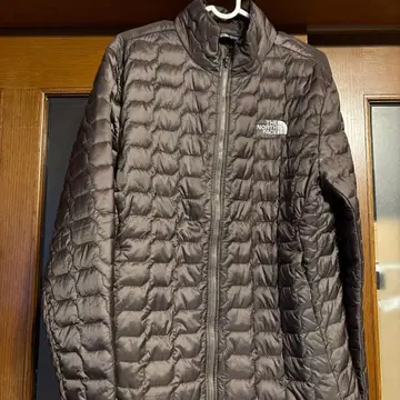 THE NORTH FACE 그레이 다운 자켓