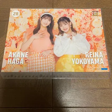 모닝구 무스메.'25 하가 아카네 요코야마 레이나 핀포스