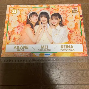 모닝구무스메.'25 하가 아카네 야마자키 아이리 요코야마 레이나 핀포스